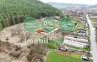 Teren Construcții intravilan de 10130 mp, în Vlaha - 7 Teren Construcții intravilan de 10130 mp, în Vlaha - 7