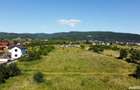 Teren de 4600 mp, în Bujoreni - 4