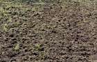 Vand teren intravilan Sat Lanurile - 1