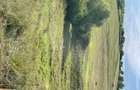 Persoana fizica vand in Chicerea 1200 mp intravilan cu deschidere la DN 44 de 21 m - 3