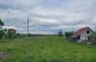 Teren intravilan 3600 mp Dumbrava Rosie 2 drumuri acces - 8