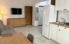 Inchiriez apartament ( studio ) , Weiner Palada ,Militari Residence. - 2