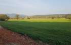 Teren Construcții extravilan de 6300 mp, în Cisnădioara - 5