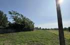 Teren Intravilan 5000m2 Titu - 5