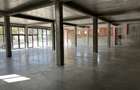Spatiu comercial de inchiriat - 3