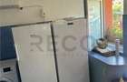 Casă cu 3 camere cu Teren 3300 Mp în Felcheriu - 5