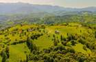 Teren extravilan de 2000 mp, în Peștera - 9
