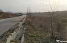 Teren intravilan Pielesti , suprafa?a 10.000mp deschidere - 3