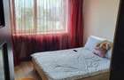 Apartament cu 2 camere decomandat în Nicolina - 3