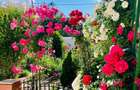 Vand casa ultracentra 199.000 euro - 7