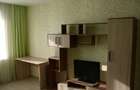 Apartament o camera Aurel Vlaicu - 1