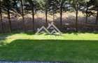 Apartament 3 camere de vanzare - structura tip vila, zona verde - 2
