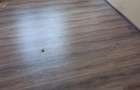 Apartament cu 3 camere nedecomandat în Mogoșoaia - 3
