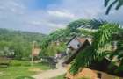 FILM! 1.450 mp intravilan, la DN, incantare peisagistica, Bran, Moieciu, Brasov - 14