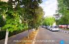 Apartament cu 3 camere decomandat în Cartierul Nord - 18