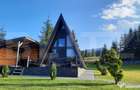 Oportunitate-cabana de vanzare, 4 camere, 75 mp, 34,5 ari te - 14