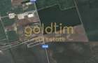 Teren Construcții intravilan de 2500 mp, în Dimieni - 2
