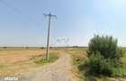 PROIECT REZIDEN?IAL CREVEDIA/ 17.600 MP /PUZ PENTRU 29 LOTURI - 4