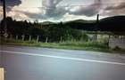 Vand inchiriez schimb 1500 m2, dn 1 , busteni - 7