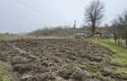 Teren 2.038 mp + Casa 50 mp de vanzare Sat Luncsoru, C - Craiova (Dolj) - 15