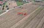 Teren Construcții intravilan de 2350 mp, în Ampoi 1 - 2