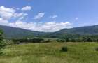 Teren de Vanzare - Intravilan - 2750mp - 5