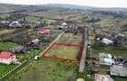 OCAZIE teren PERFECT PLAN 1.800 mp, acces 2 drumuri langa E58 - 5