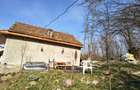 Vanzare casa la tara - 3
