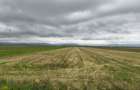 Teren agricol de 8900 mp, în Prejmer - 2