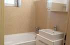 Apartament cu 2 camere decomandat în Parcul Circului - 10