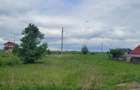 Teren intravilan 3600 mp Dumbrava Rosie 2 drumuri acces - 7