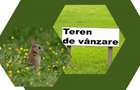 Teren extravilan 1,8ha - Sere- zona de VEST a Constantei - 6