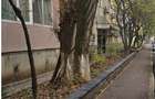 Apartament 2 camere, cota 1/2, Bucuresti, ID: R2942554 - 6