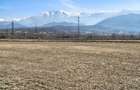 Teren de 2800 mp, în Turnu Roșu - 18