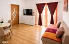 Apartament 2 camere cu 2 balcoane si loc de parcare zona Doamna Stanca - 10