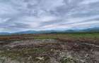 Teren 1450m- Carpinis/Tarlungeni, intravilan - 6