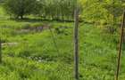 Teren, 6000mp, Simeria - 3