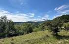 Teren 3.552 mp de vanzare (scrie pe whatsapp) Marginea, zona Dealu Fatului - 8