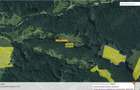 teren _ 22300mp_brasov_tarlungeni_valea zizinului - 4