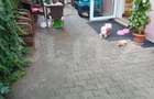 Apartament 3 camere, modern, pet friendly, zona Manastur - 1
