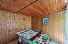 Casa cu gradina roditoare si teren 3000 m2 de vanzare Sacadate, Sibiu / House with Garden and 3000 m2 Land for Sale Sacadate, Sibiu - 6