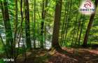 Cabana de Vanzare in Tarcau Natura, Relaxare si Pescuit la Poarta - 4