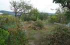 Vand casa cu 3 camere ?i dependin?e in Campia Turzii- Sancrai - 4