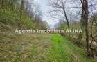 Teren intravilan 1.700 mp + 6.600 mp Padure de foioase + 1.200 mp Padure de foioase, Sat Nojag. - 3