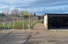 Casă individuală cu 5 camere cu Teren 2600 Mp în Mehala - 10