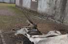 Vand cladire in zona industriala - 1
