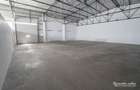 Hala 438 mp cu birouri 145 mp - 4