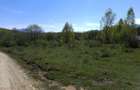 Teren intravilan 500 mp. Zarnesti/Tohanita - 4