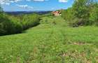 Vand teren extravilan 4.6 ha - 4
