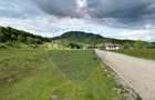 Teren extravilan de 5000 mp, în Vama Buzăului - 3